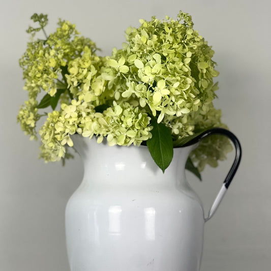 Vintage White Enamel Pitcher with Black Detailing